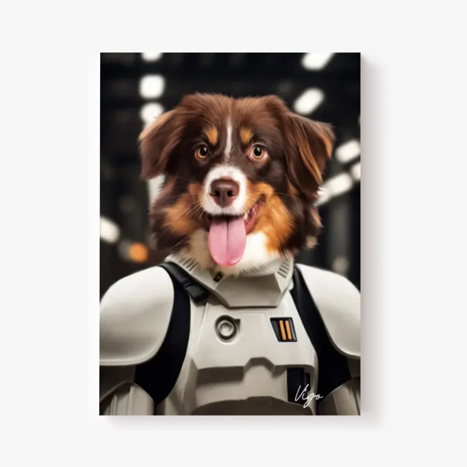 Tableau Animaux Portrait Personnalisé Stormtrooper