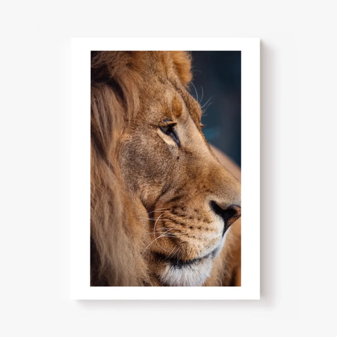 Tableau Lion Couleur