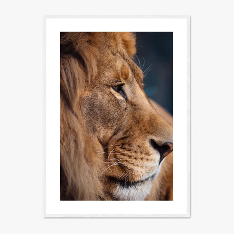 Tableau Lion Couleur