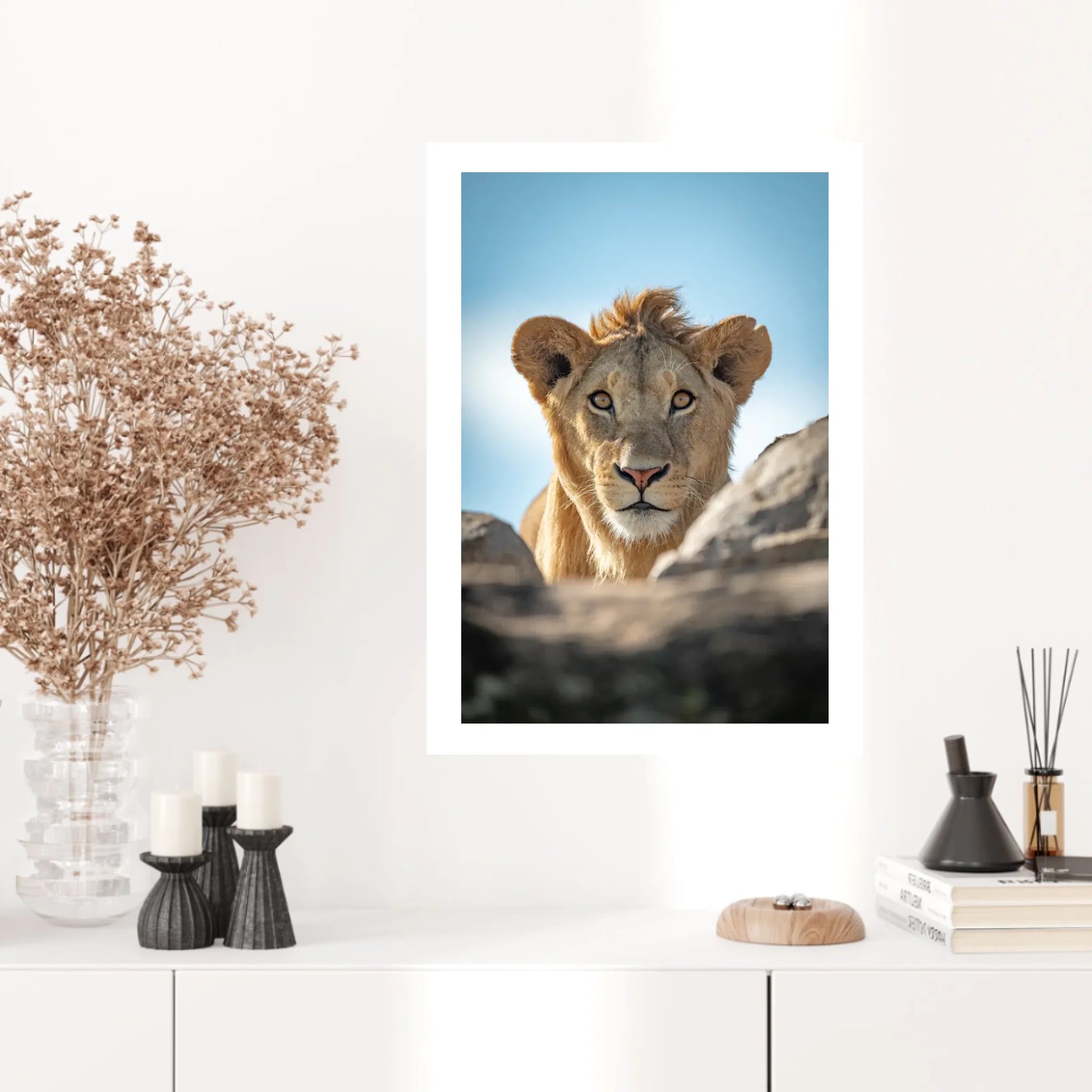 Tableau Lion Couleur 5