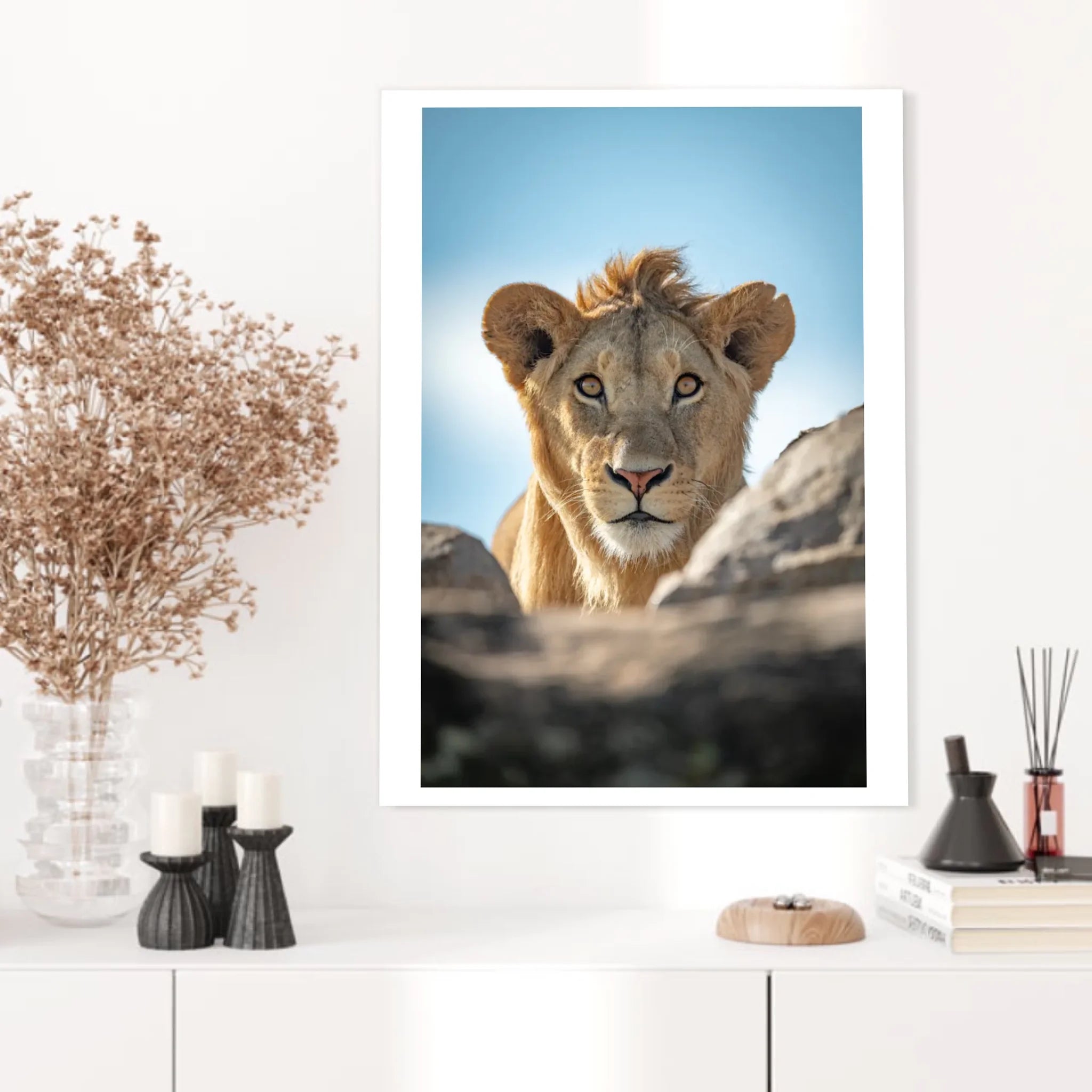 Tableau Lion Couleur 5