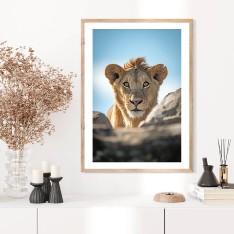 Tableau Lion Couleur 5