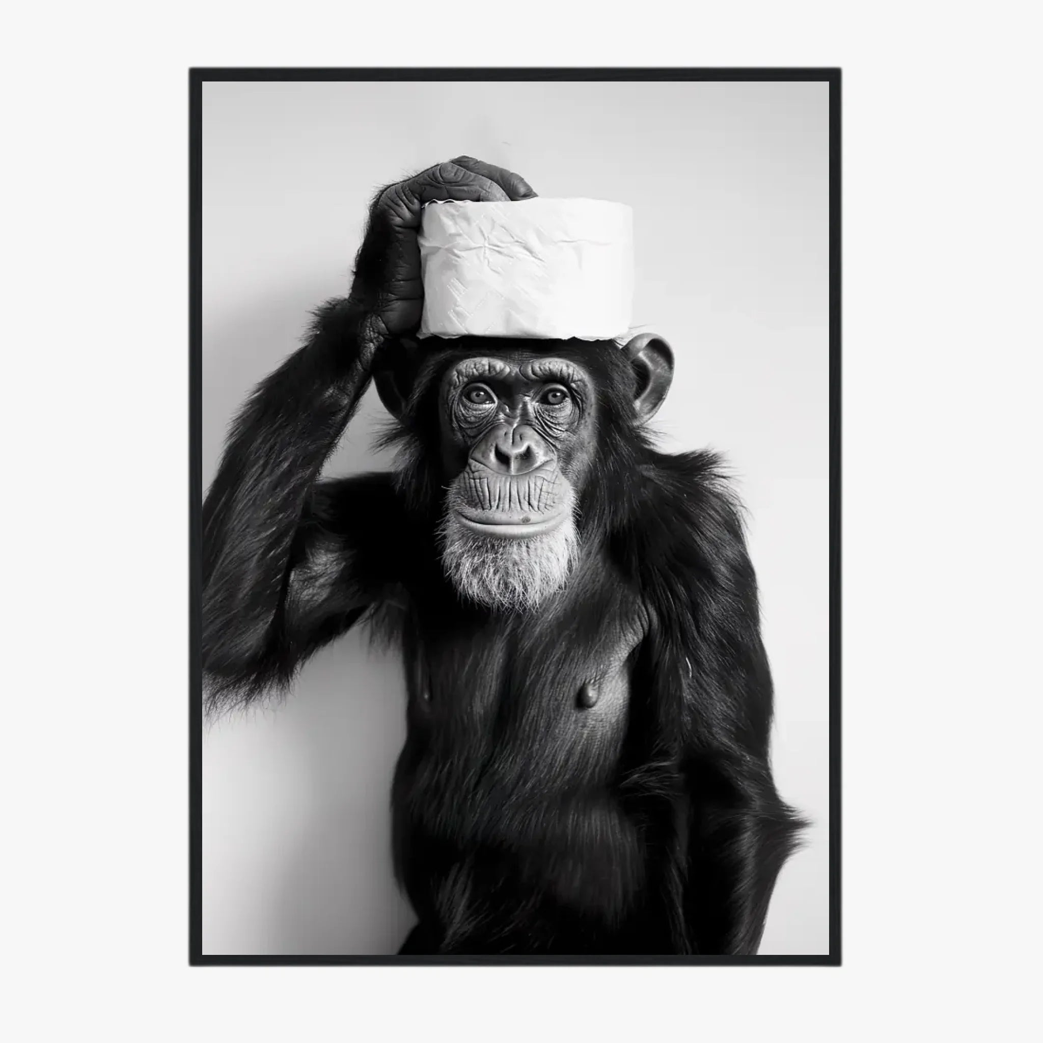 Tableau Singe Chimpanzé Papier Toilette